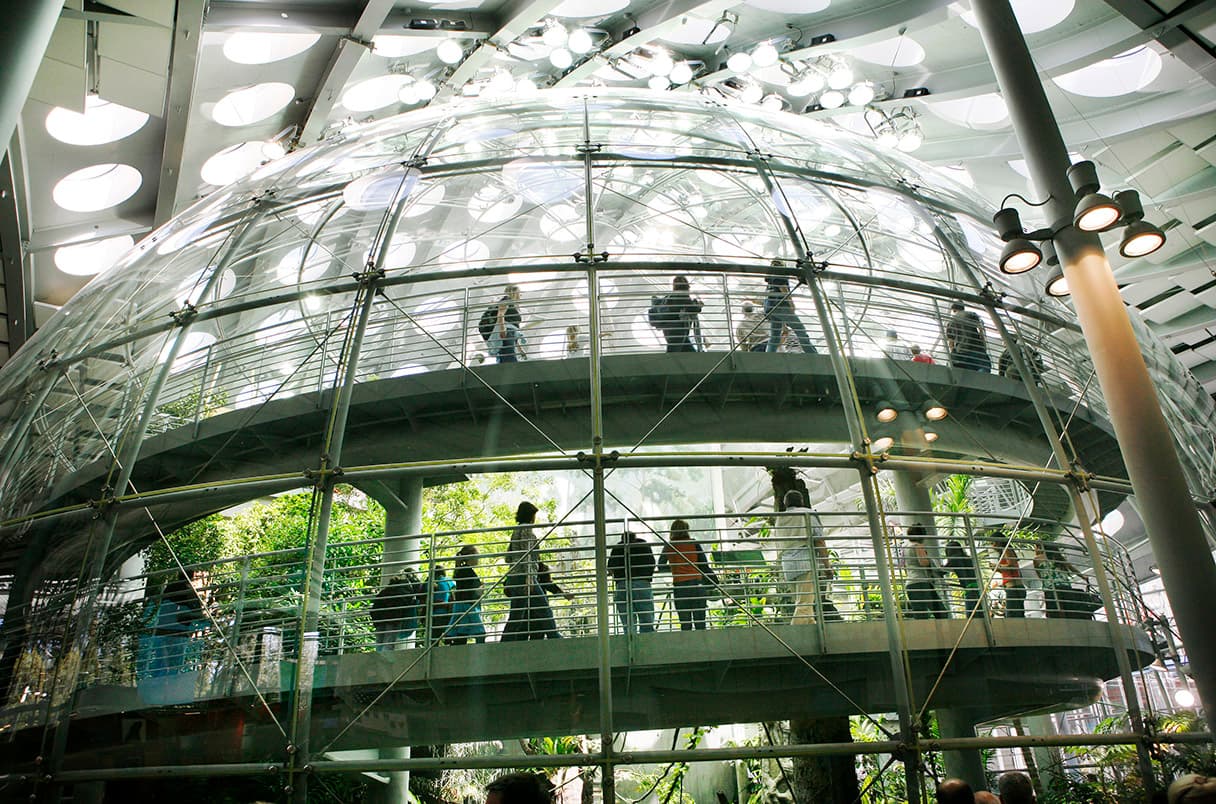 California Academy background